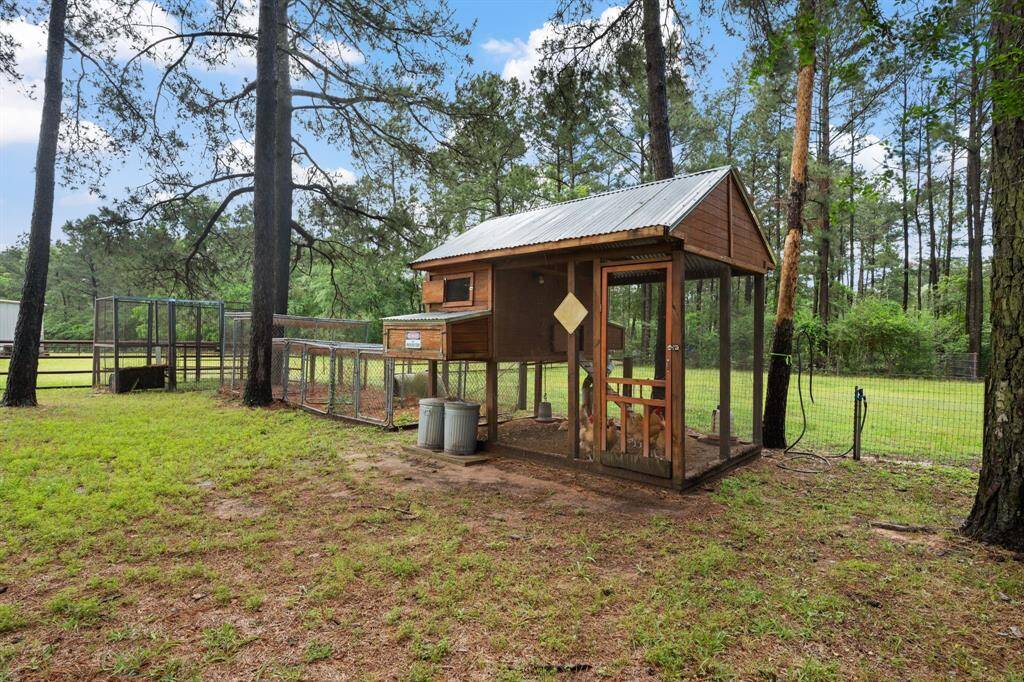 Chicken Coop