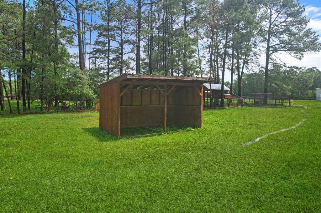 A spacious, grassy yard with a simple wooden shelter, surrounded by tall trees. Ideal for outdoor activities and relaxation in a natural setting.