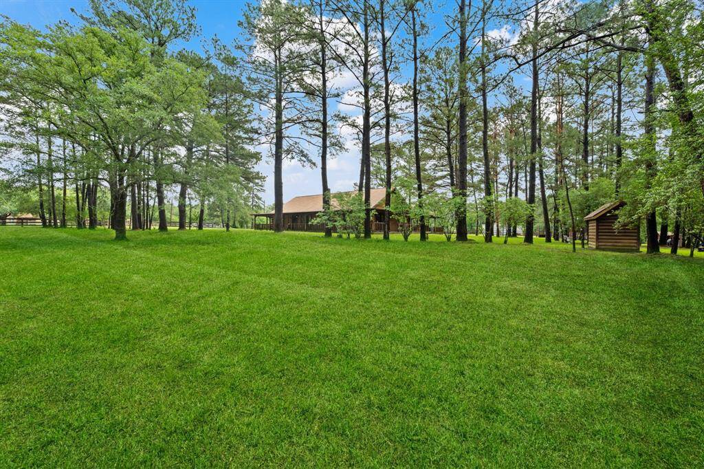 Charming log cabin with a spacious front porch, nestled among tall trees on a lush green lawn. Perfect for enjoying nature and tranquility.