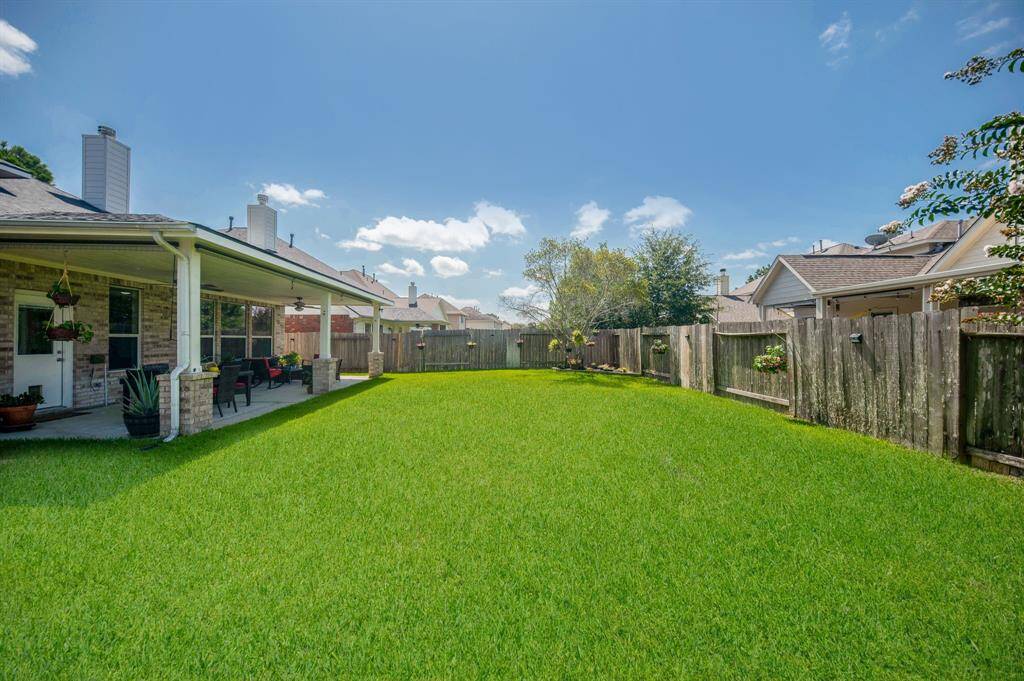 View of the backyard.