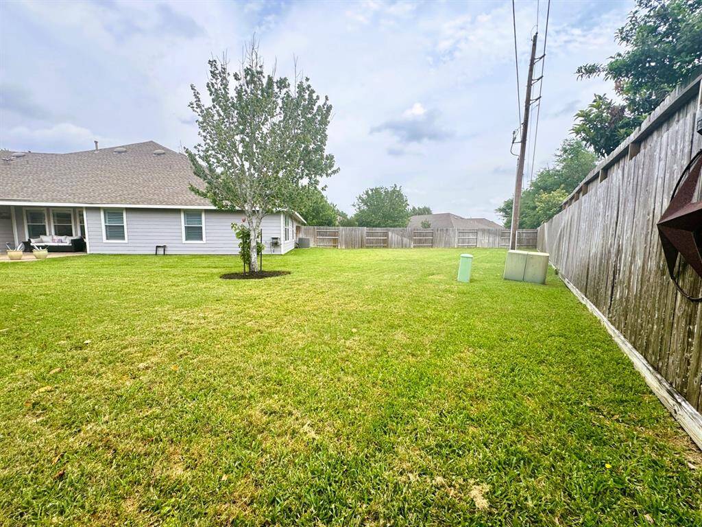 So many possibilities for this yard.