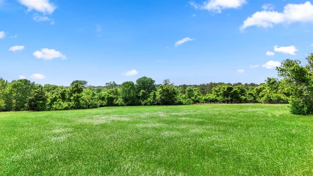 Rear hay field