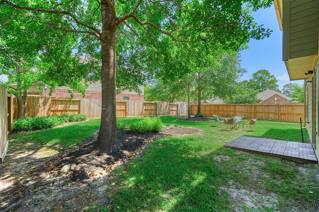 The backyard has nice shade trees.