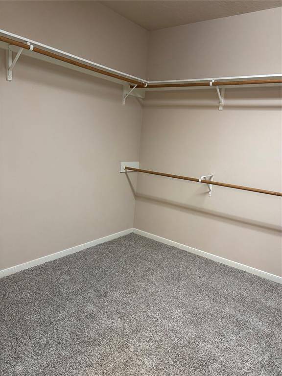 Spacious walk-in closet with carpeted flooring and multiple wooden hanging rods for ample storage.