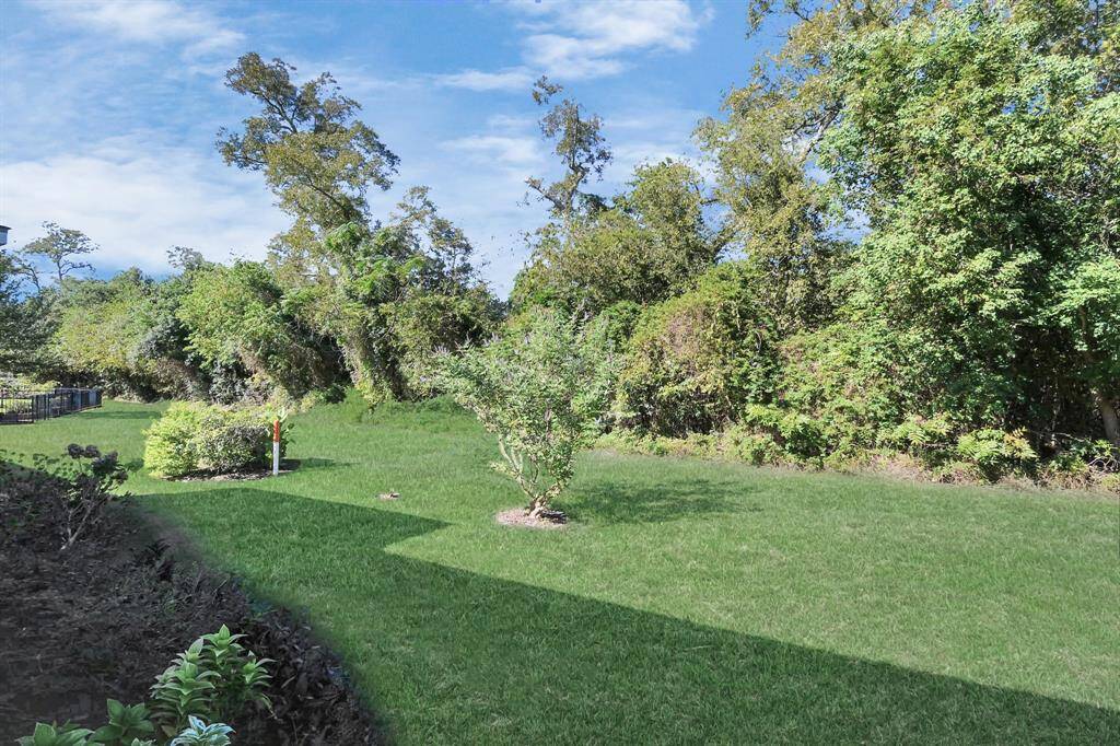 A view of the back yard area