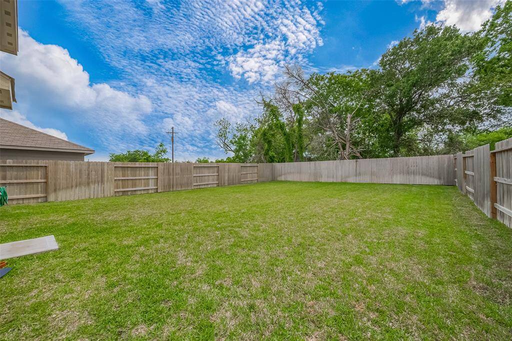 Backyard.