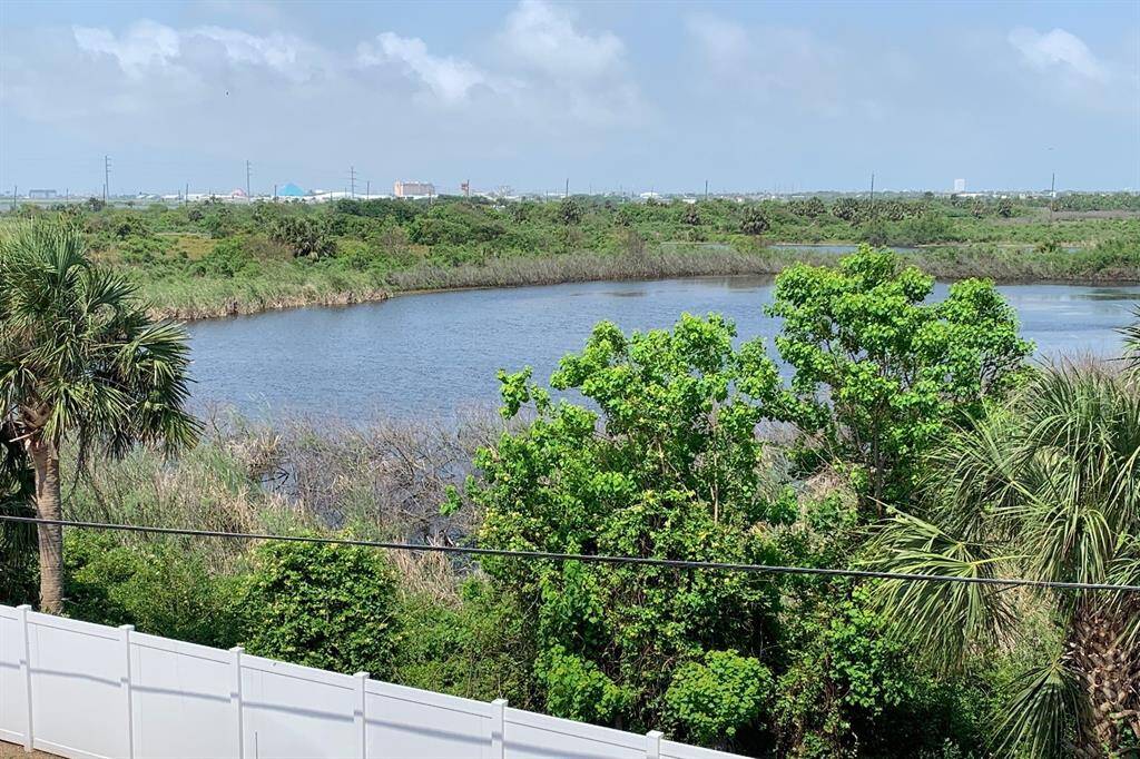 views of wetlands from back balcony.