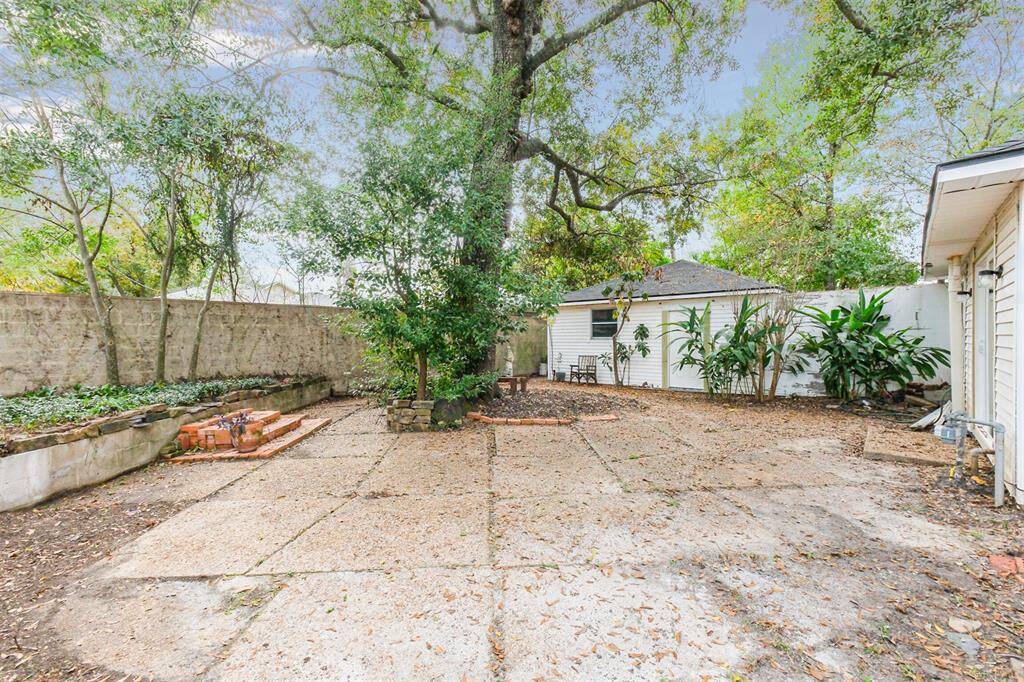 Back yard.