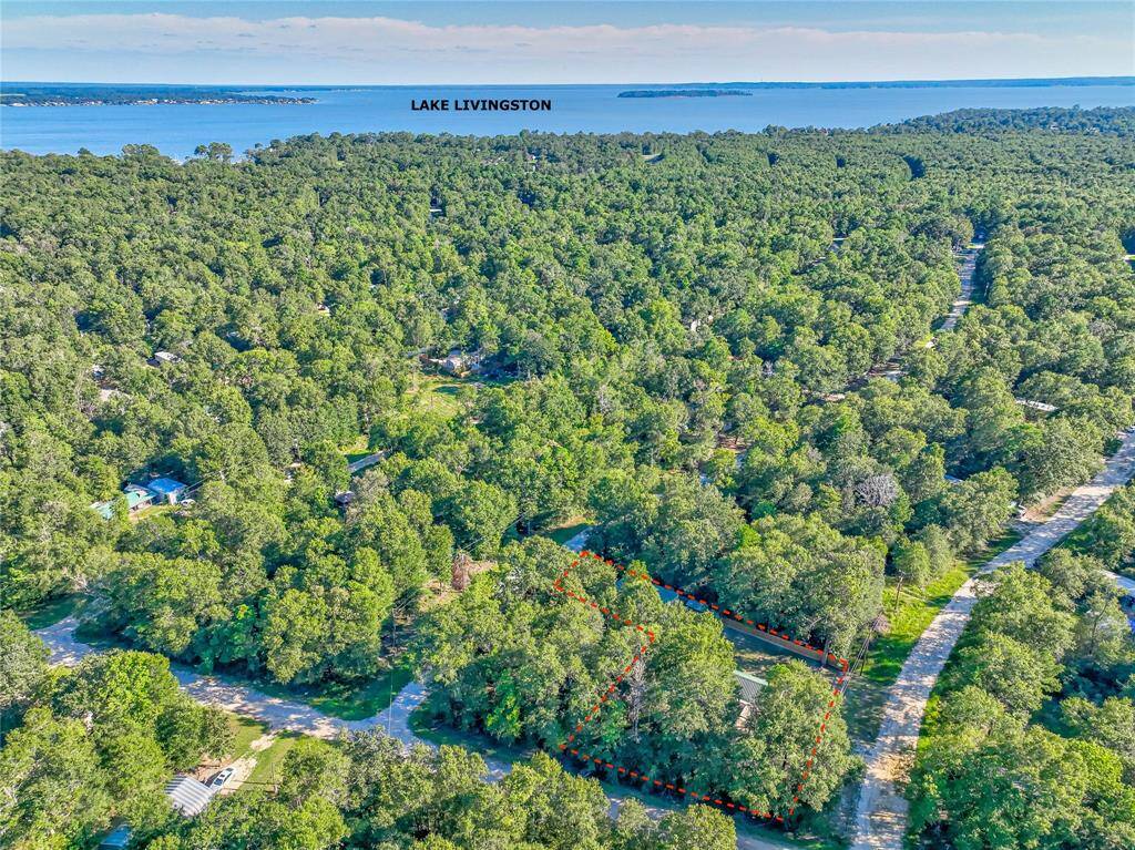 ANOTHER AERIAL VIEW.MINUTES FROM LAKE LIVINGSTON
