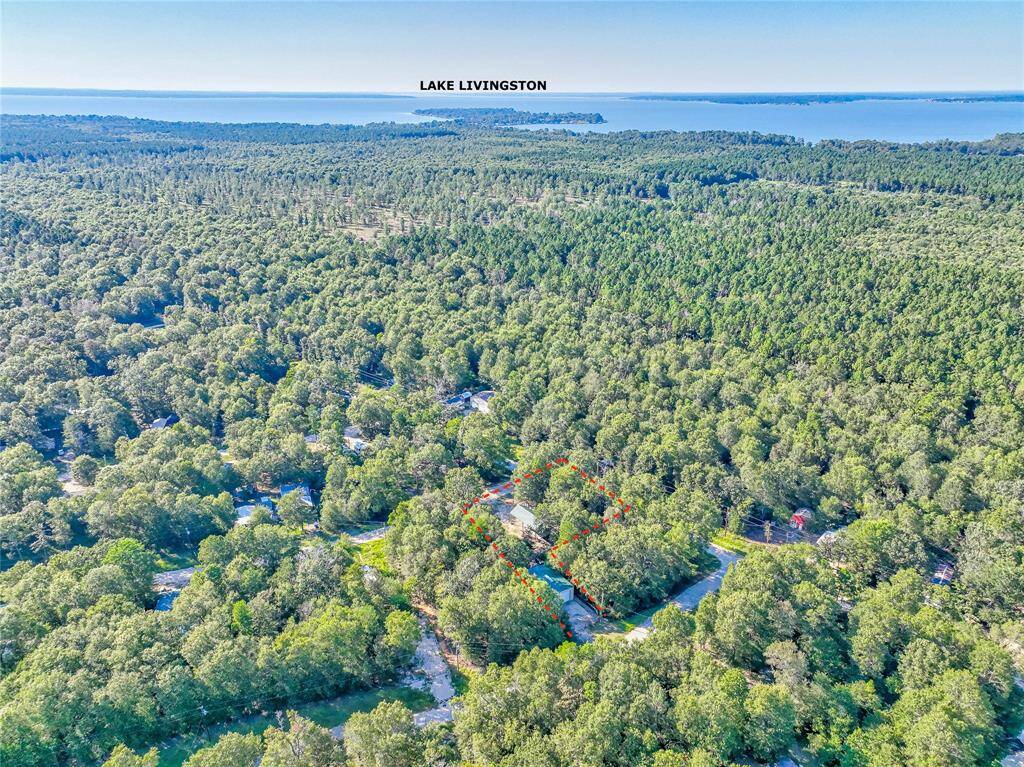 MINUTES FROM LAKE LIVINGSTON