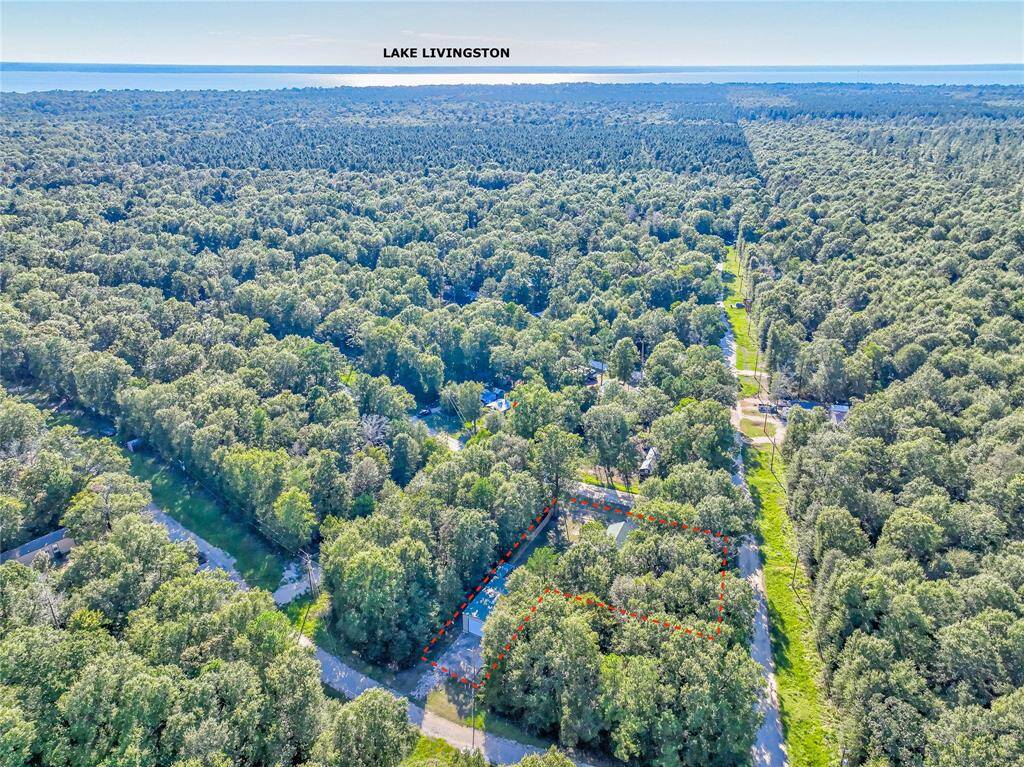 ANOTHER AERIAL VIEW.MINUTES FROM LAKE LIVINGSTON