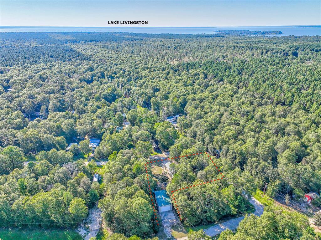 ANOTHER AERIAL VIEW.MINUTES FROM LAKE LIVINGSTON