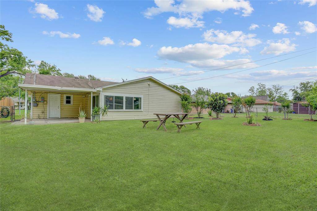 Back Yard