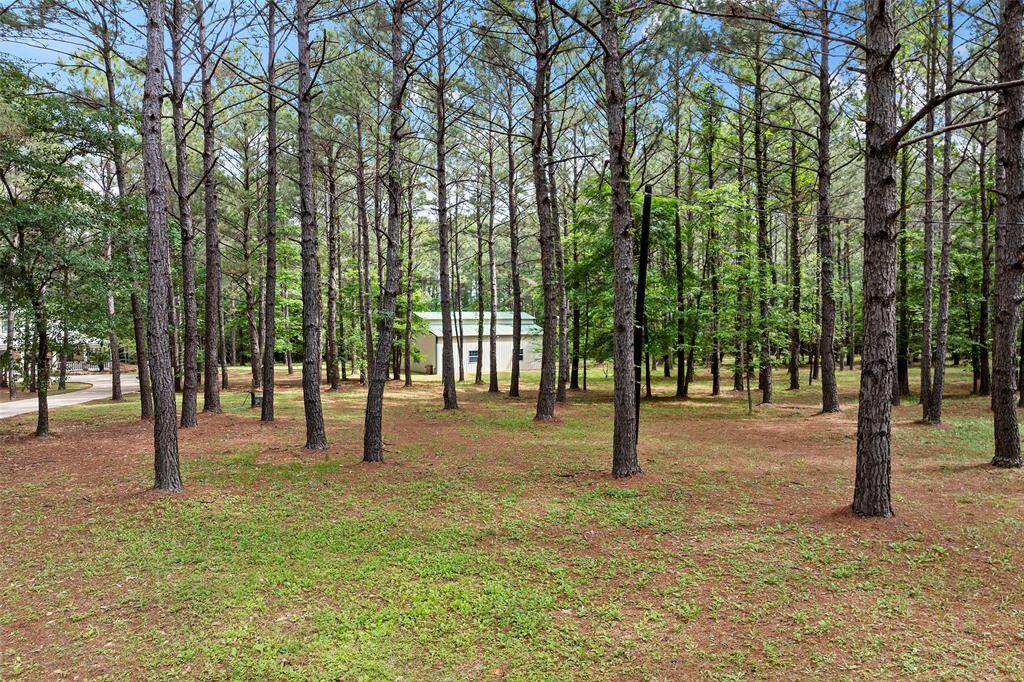 As we step away from this amazing home and all it has to offer, you can see the separation of the main house to the storage house, tucked in the woods!