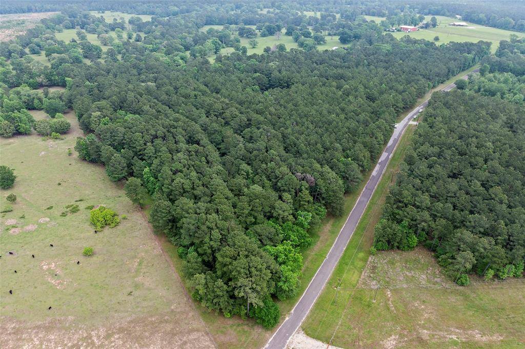 With just over 21+ acres, you have the privacy and space to enjoy a lifestyle in the country, but not too far from all things city!