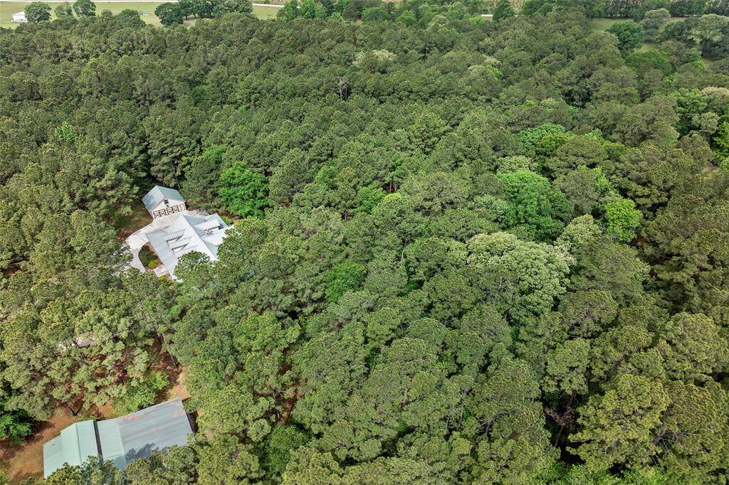 Are you looking for your own piece of Heaven?  Well, it looks like you have found it in the heart of Huntsville, Texas. Schedule a showing today!