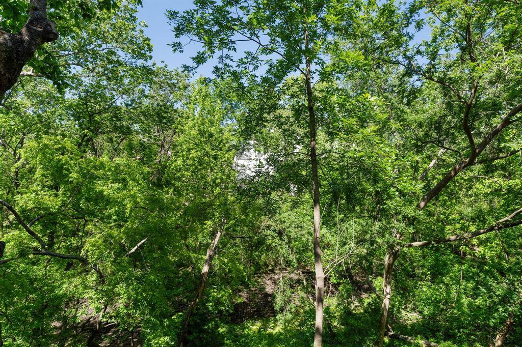 Scenic view of the ravine area beyond the balcony, surrounded by mature trees offering privacy and a peaceful backdrop.
