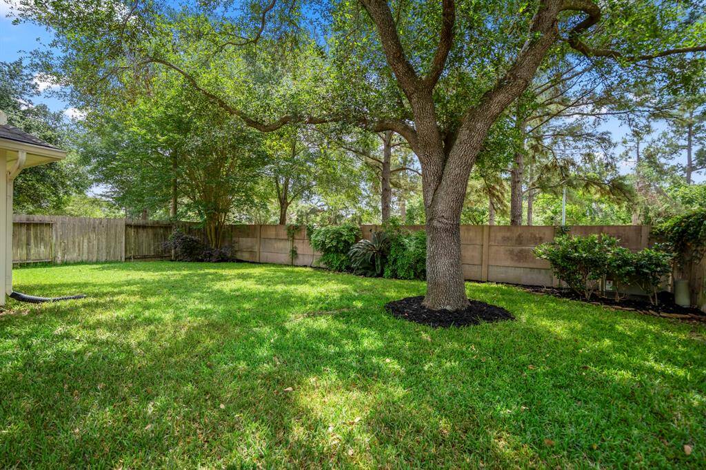 A great view of the spacious yard reveals a mature tree and the privacy of no rear neighbors, offering a peaceful and serene outdoor space to enjoy.