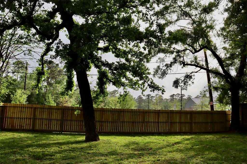 Large backyard :o