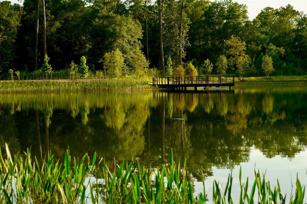 Enjoy serene strolls and scenic sunsets at the Eastern Glades in Memorial Park