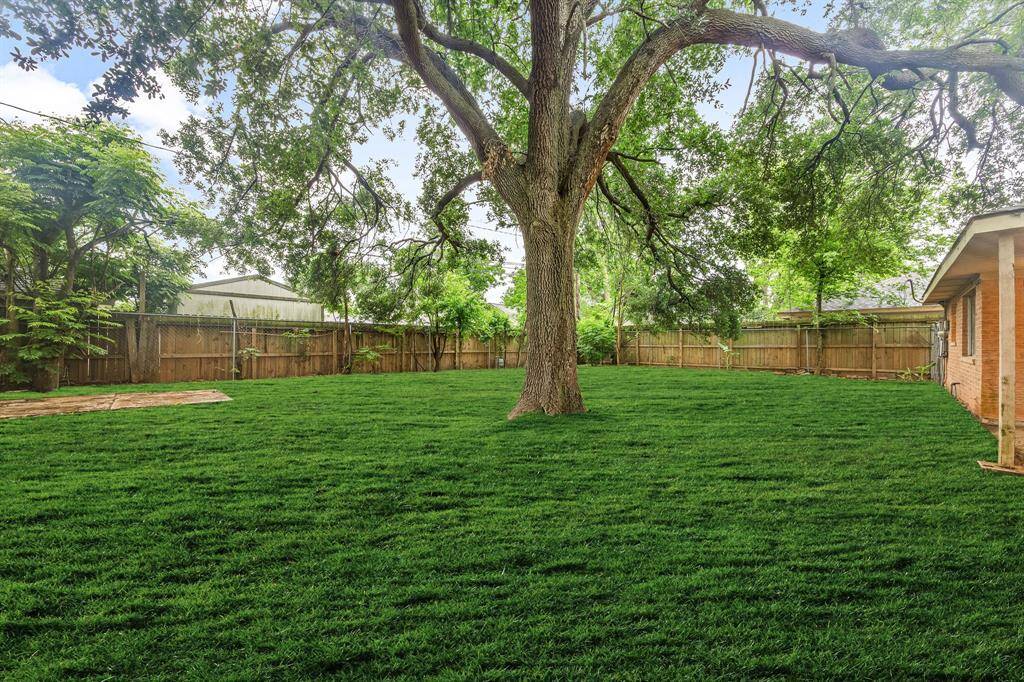 enhanced grass