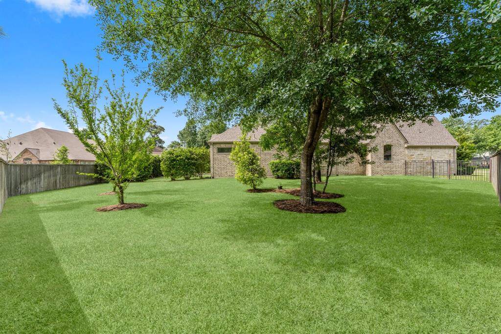 Left back-side yard