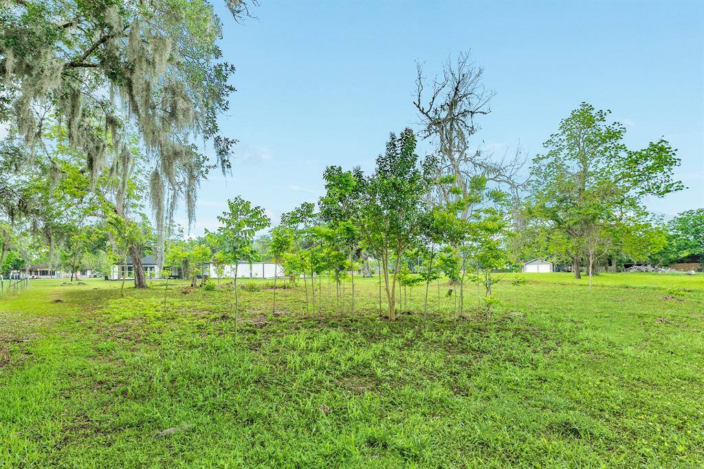View toward house from very back of property
