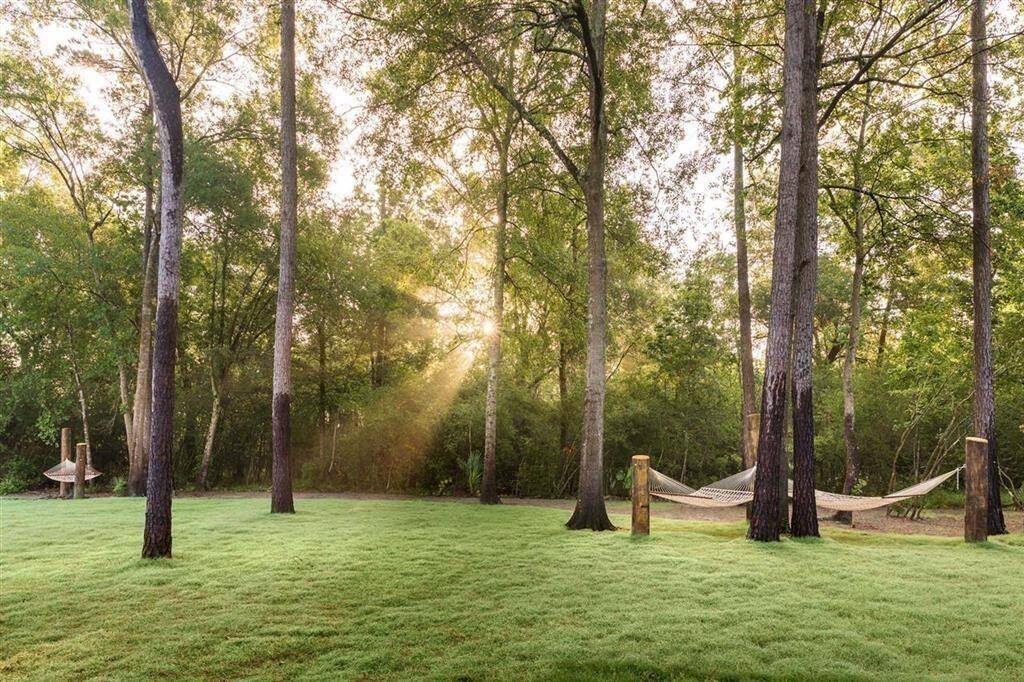 Hammock Green