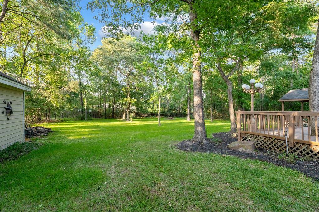 The view from the end of the driveway looking into the backyard