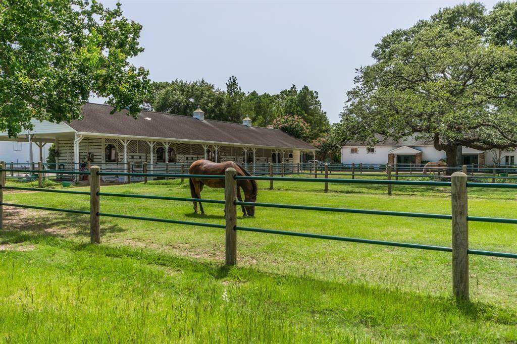 Equestrian Center