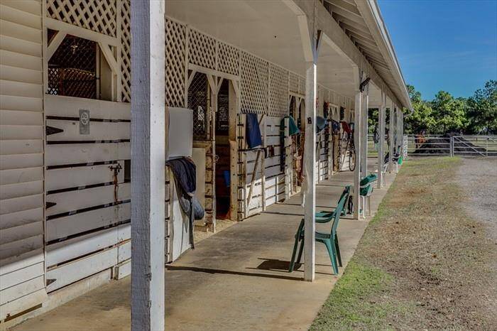 Horse stables