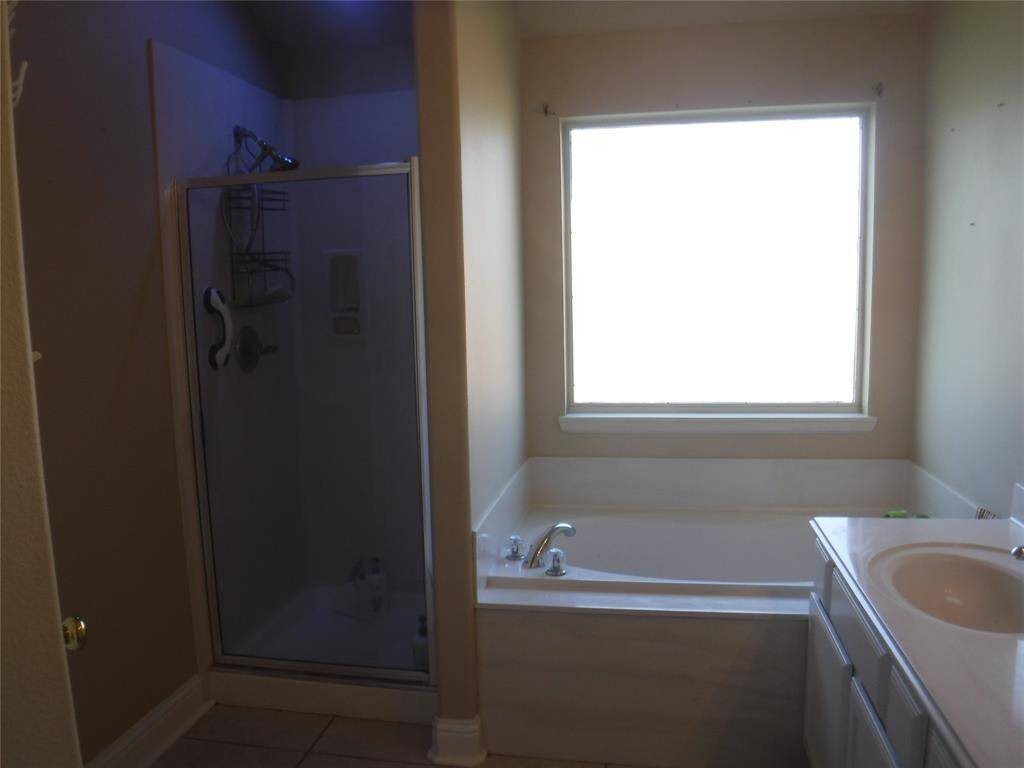 Primary shower and bath