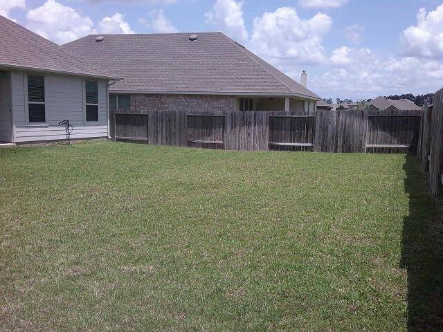 Back Yard