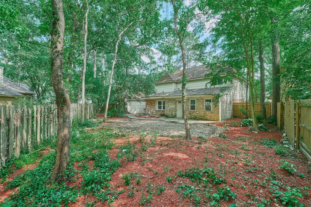Treed backyard space with nothing to mow