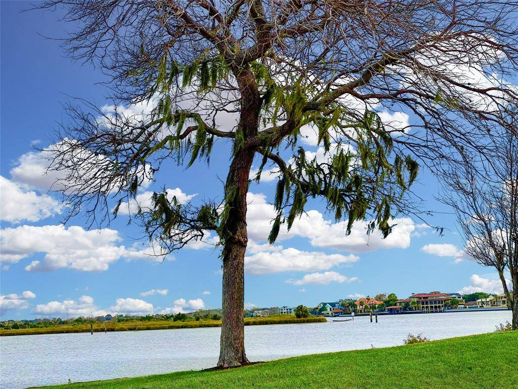 Tranquil oasis:various vantage pointes. Walk, bike, jog, or watercraft.