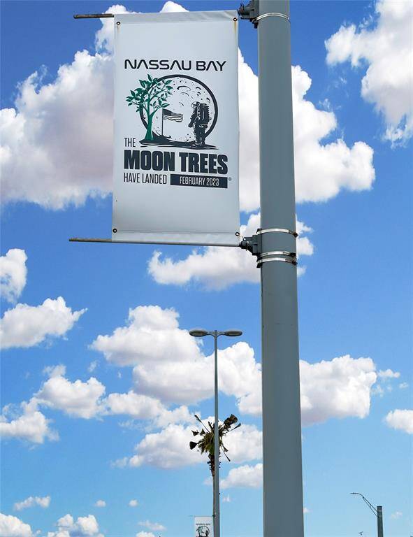 Boulevard banners: NASA's Moon Tree