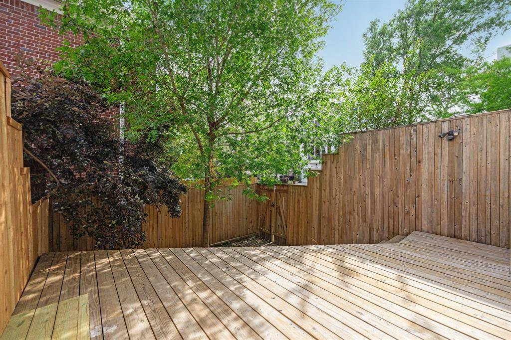 Back yard, fully fenced.