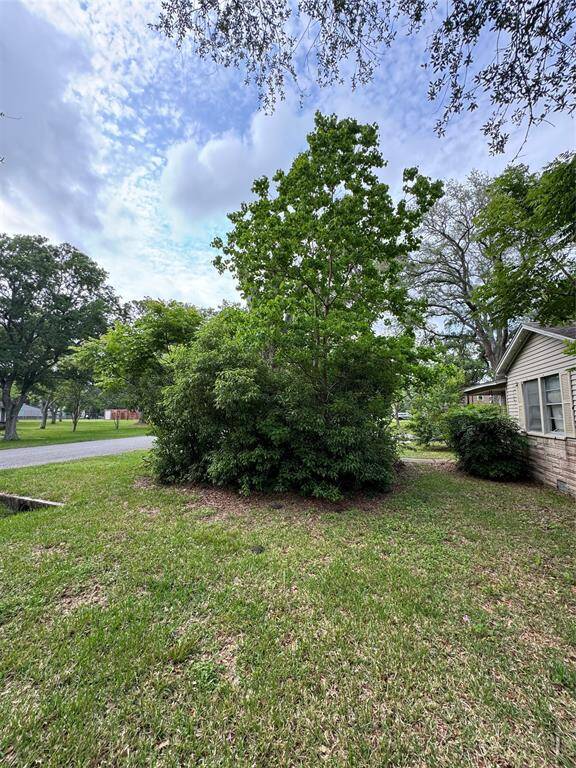 front yard