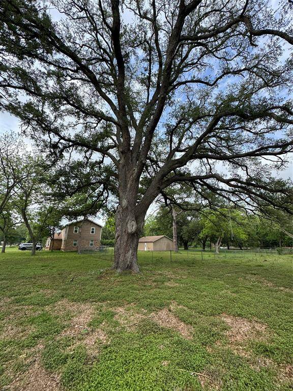 Awesome Tree