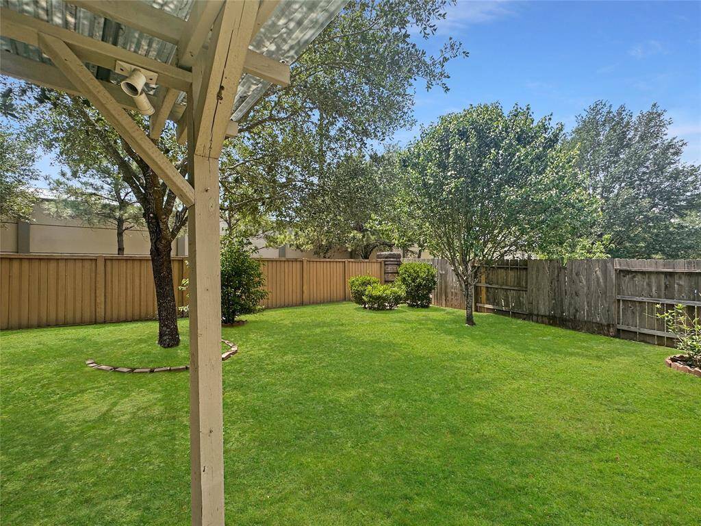 Backyard #2