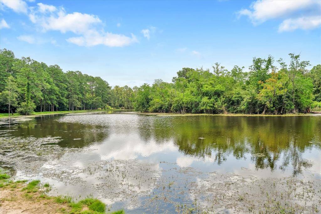 Blue Gill Pond and walking trails are steps from the home.