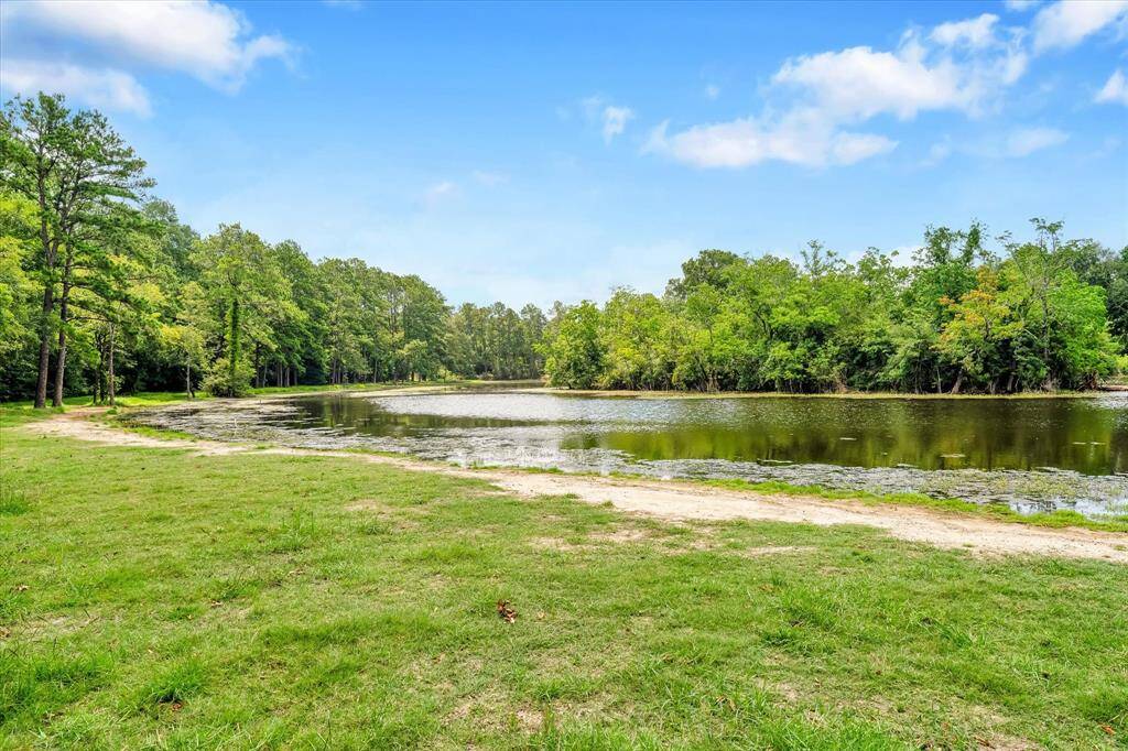 Another view of the pond