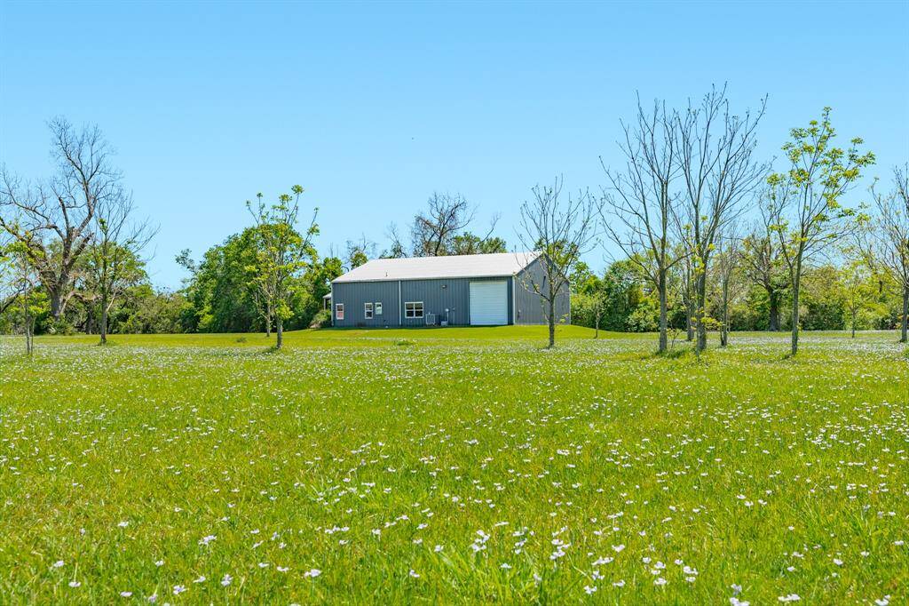 Property Image 42
