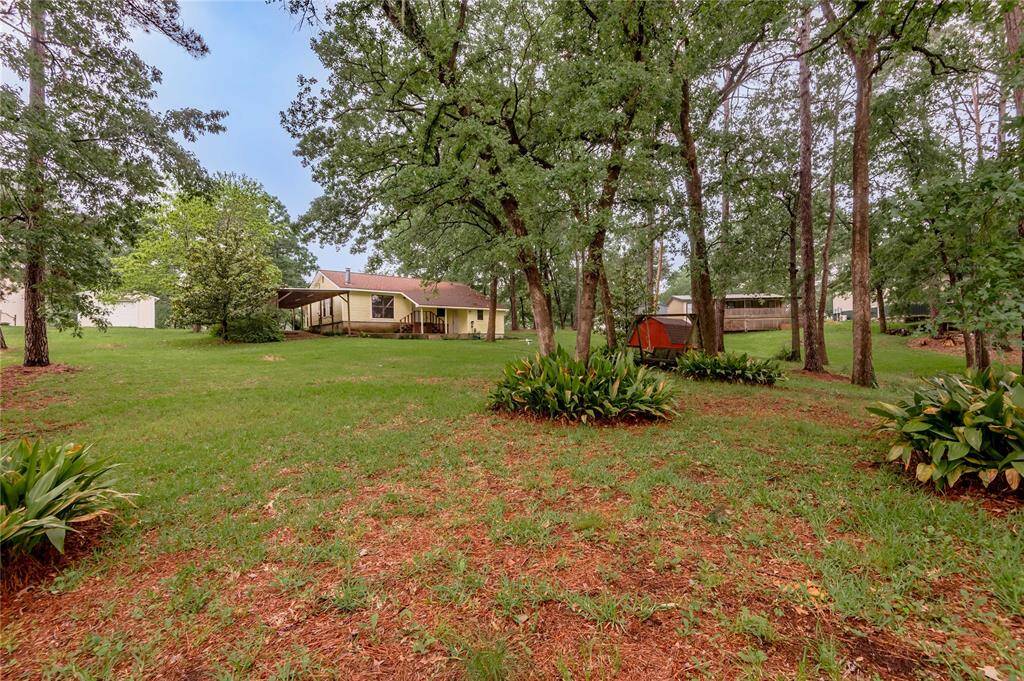 Large backyard