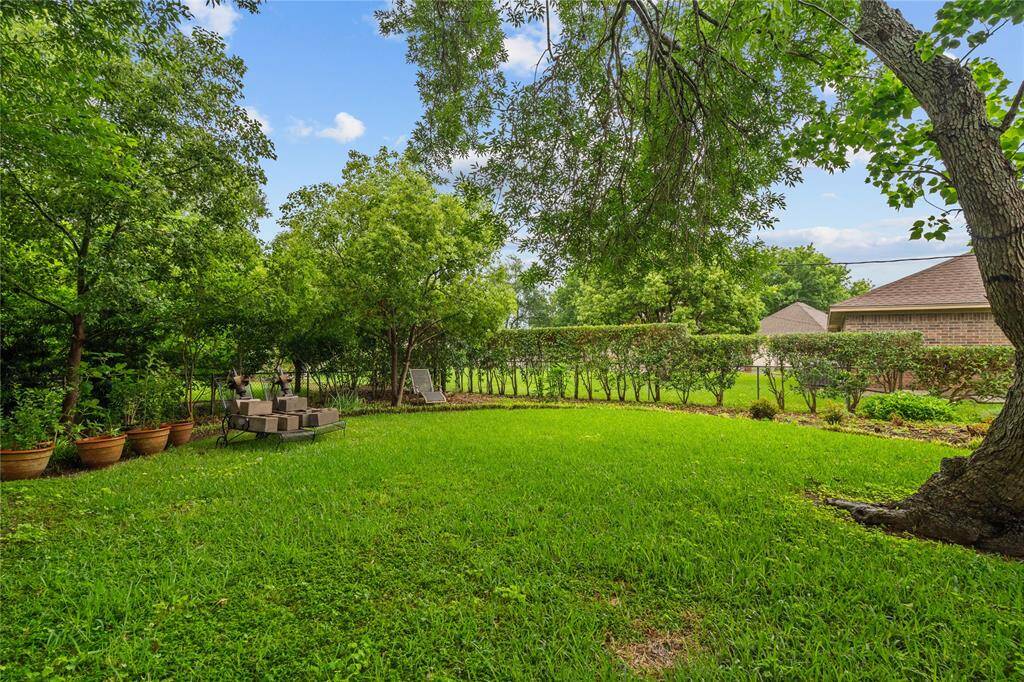 Back yard
