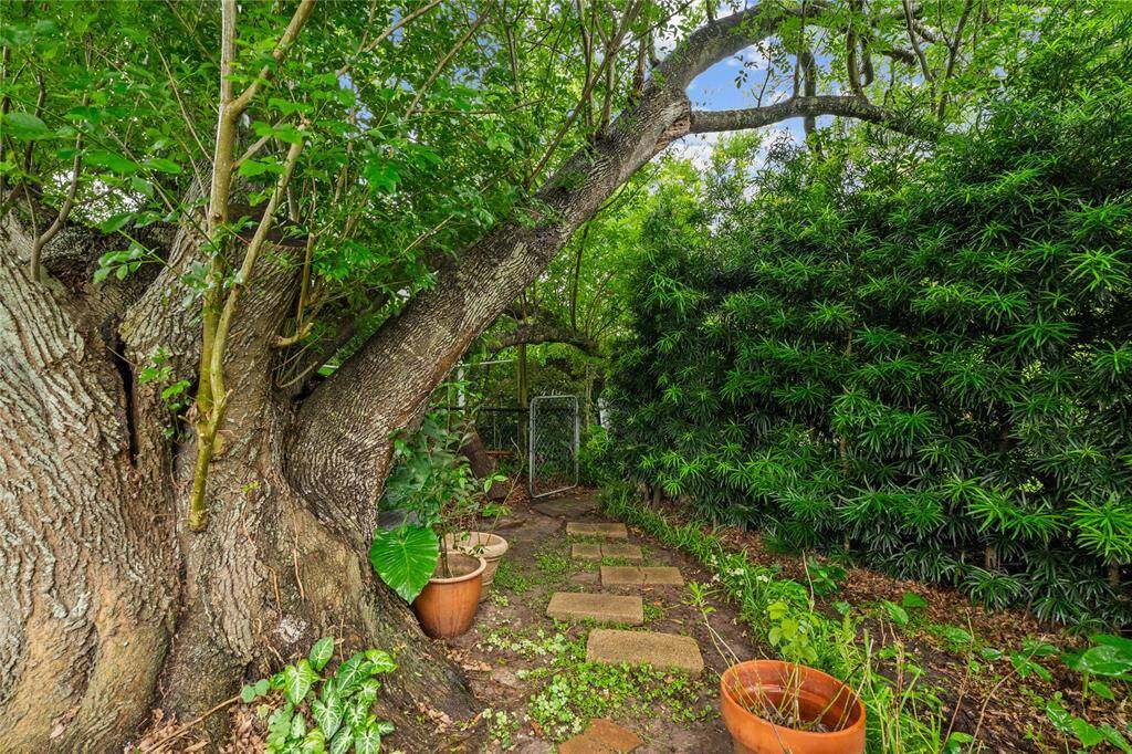 Landscaping