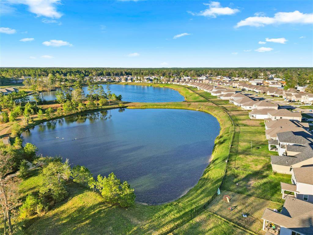 Beautiful Ariel of the Lake