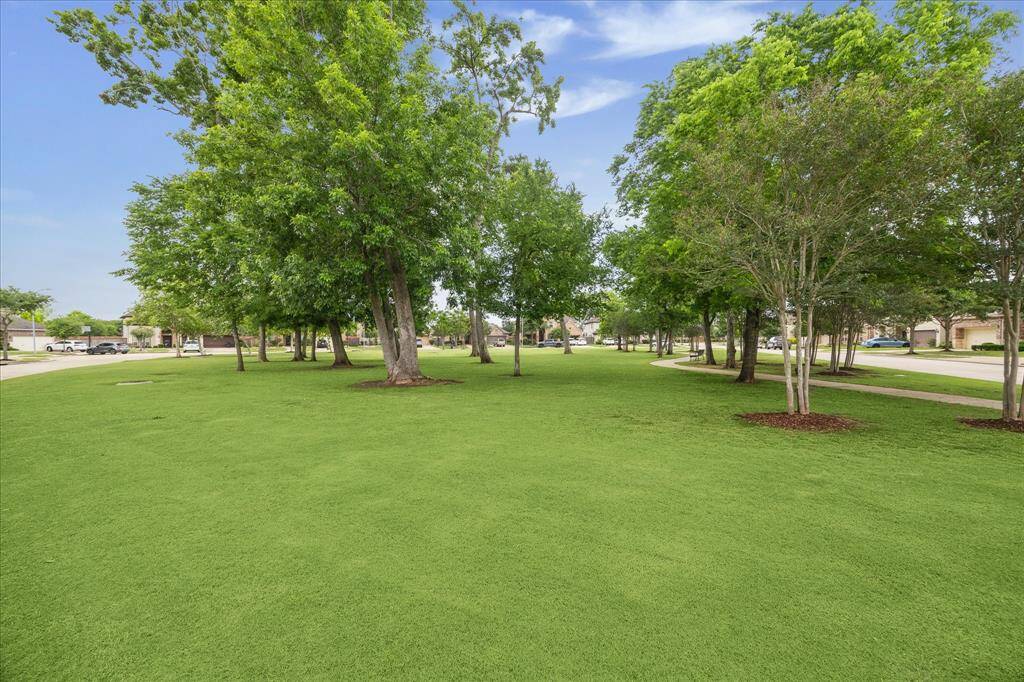 Green belt across the street