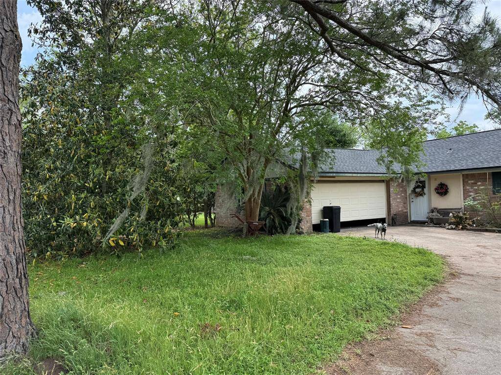 side of the home