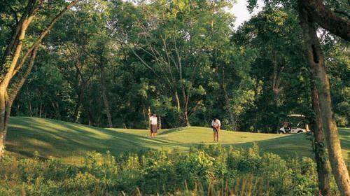 This serene photo showcases a picturesque pond surrounded by lush trees on the golf course, featuring a fountain and charming sculptures, creating a tranquil and inviting outdoor space perfect for relaxation.